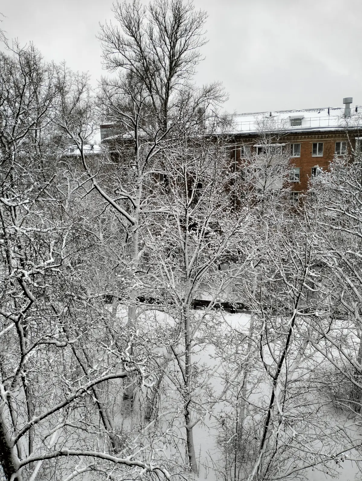 Зима чтоле? ❄️☃️🥕😃 | Сетка — социальная сеть от hh.ru
