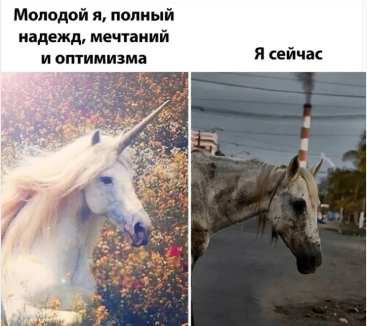 🦄 Кто такие M‑shaped продакты | Сетка — социальная сеть от hh.ru