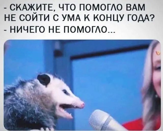 Держитесь, новый год близко) | Сетка — социальная сеть от hh.ru