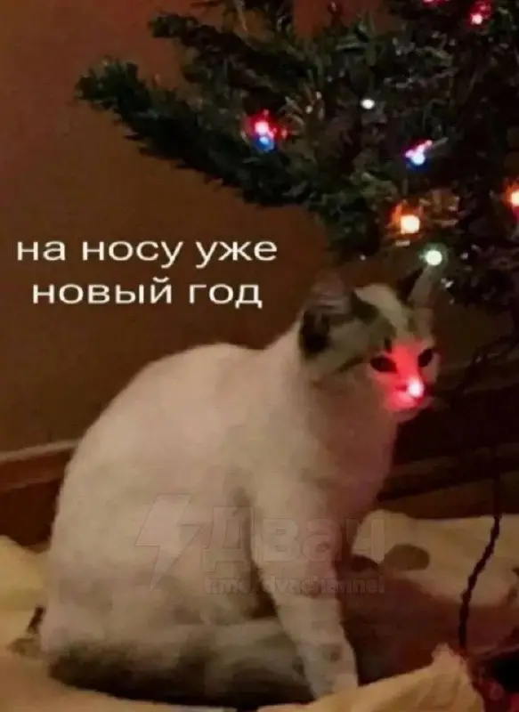 Ну что, закрыли все задачки?
❤️ - да, играем с коллегами в Тайного Санту
🔥 - всё горит, ничего не успеваю, закончу 31 декабря в 18:00 | Сетка — социальная сеть от hh.ru