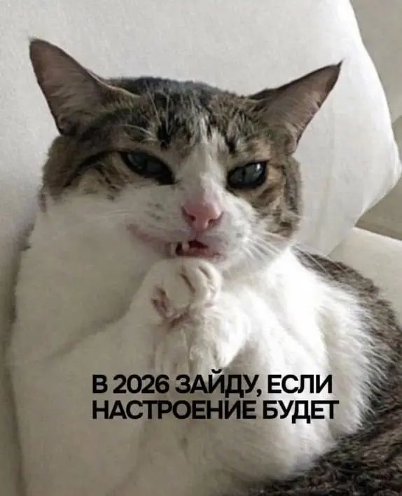 «Мне по*уй, у меня holidays» — топ-9 ультимативных аватарок для новогодних праздников собрали в сети.
Ставим 😍 | Сетка — социальная сеть от hh.ru