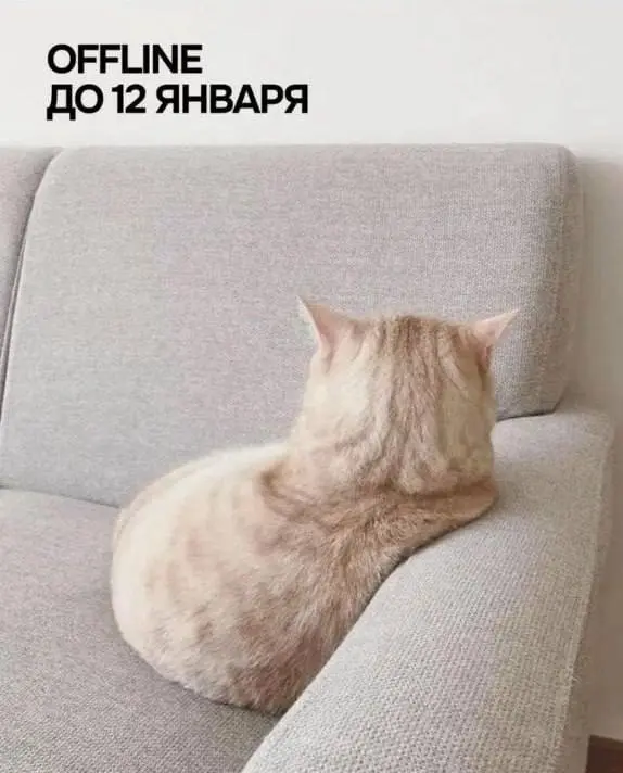 «Мне по*уй, у меня holidays» — топ-9 ультимативных аватарок для новогодних праздников собрали в сети.
Ставим 😍 | Сетка — социальная сеть от hh.ru