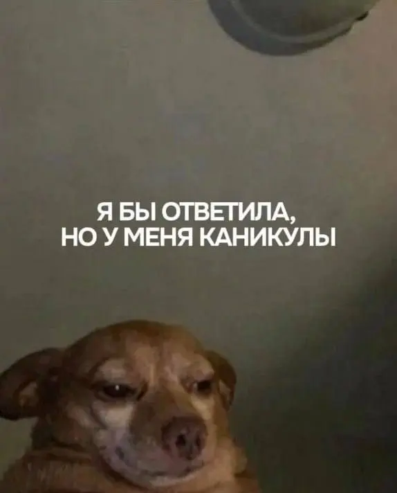 «Мне по*уй, у меня holidays» — топ-9 ультимативных аватарок для новогодних праздников собрали в сети.
Ставим 😍 | Сетка — социальная сеть от hh.ru