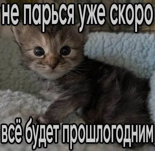 С наступающим)) | Сетка — социальная сеть от hh.ru