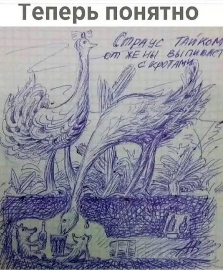 😏   🐹🍹🦒 | Сетка — социальная сеть от hh.ru