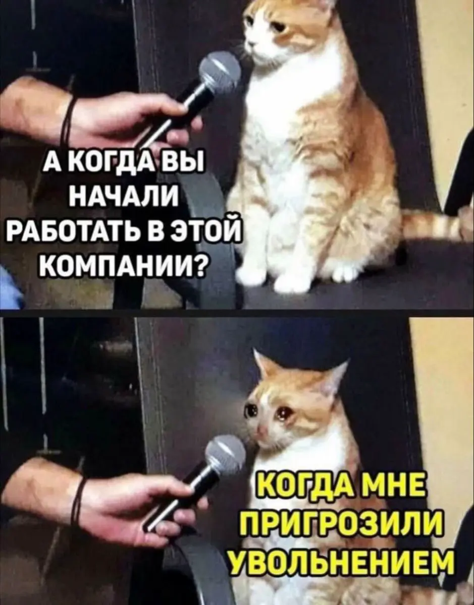 Как и кать работу в 2026 году? | Сетка — социальная сеть от hh.ru