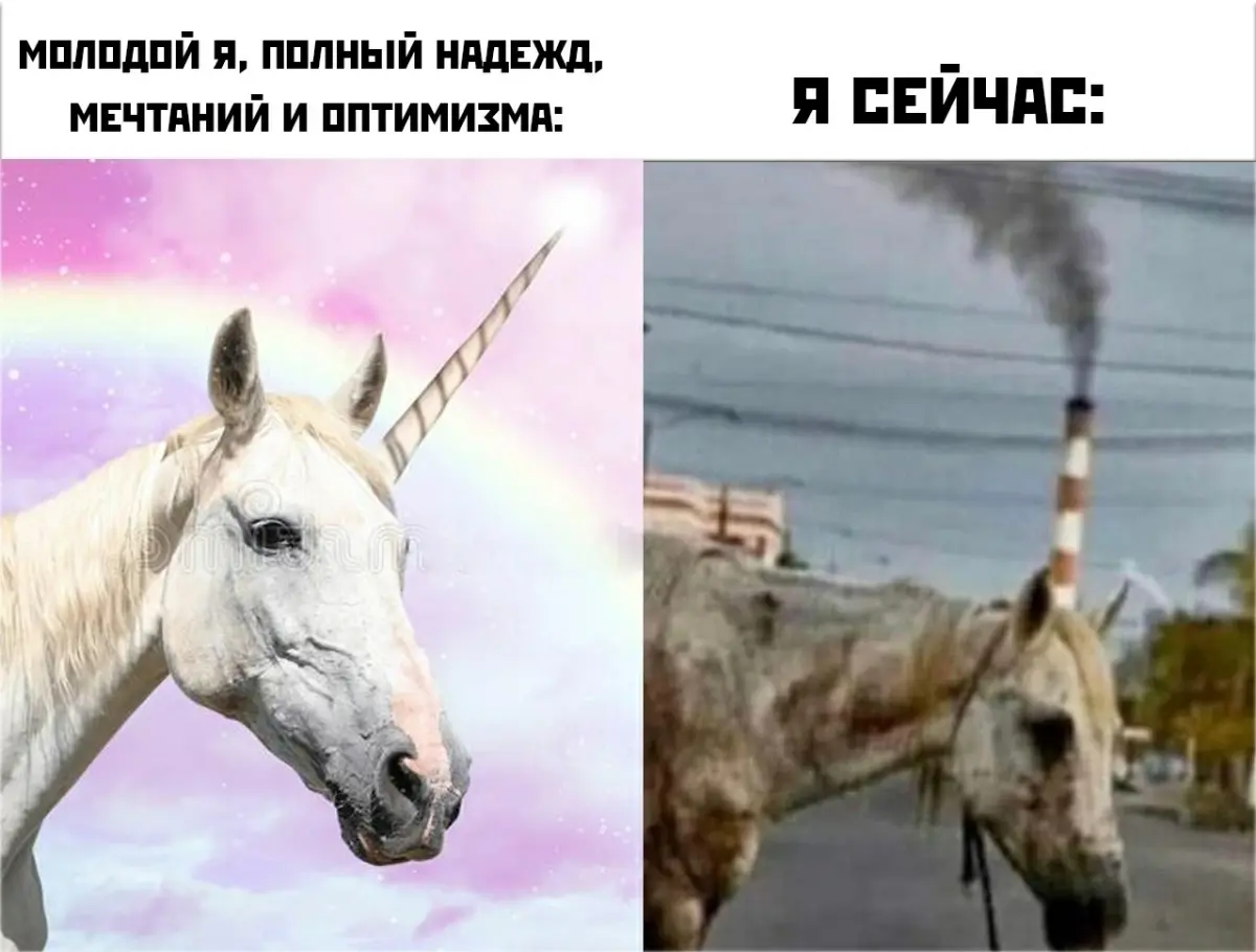 Специализация | Сетка — социальная сеть от hh.ru