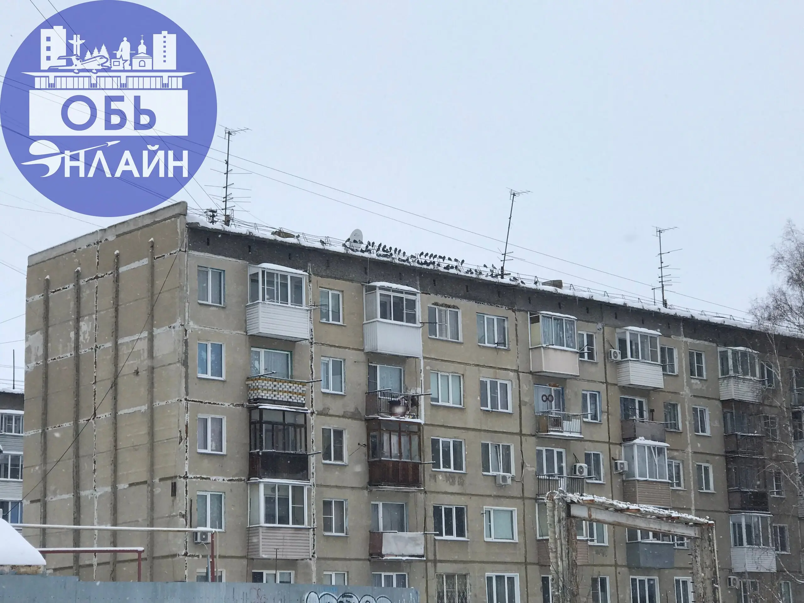 ↗ На проводах крыши дома Военного городка, 121 птички, уселись, словно ноты на нотном стане
vk.ru
Подробнее на https://vk.com/ob.gorod
#городобь #городобьонлайн #толмачево | Сетка — социальная сеть от hh.ru