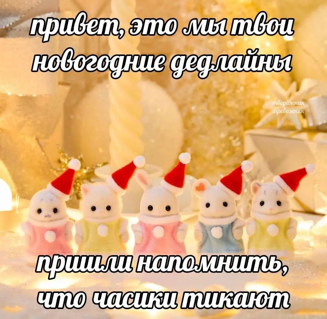 #ny | Сетка — социальная сеть от hh.ru