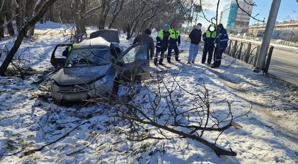 Два человека госпитализированы после аварии в Ставрополе
Днём 26 декабря на проспекте Кулакова водитель «Лады» не справился с управлением, съехал с дороги и врезался в дерево | Сетка — социальная сеть от hh.ru