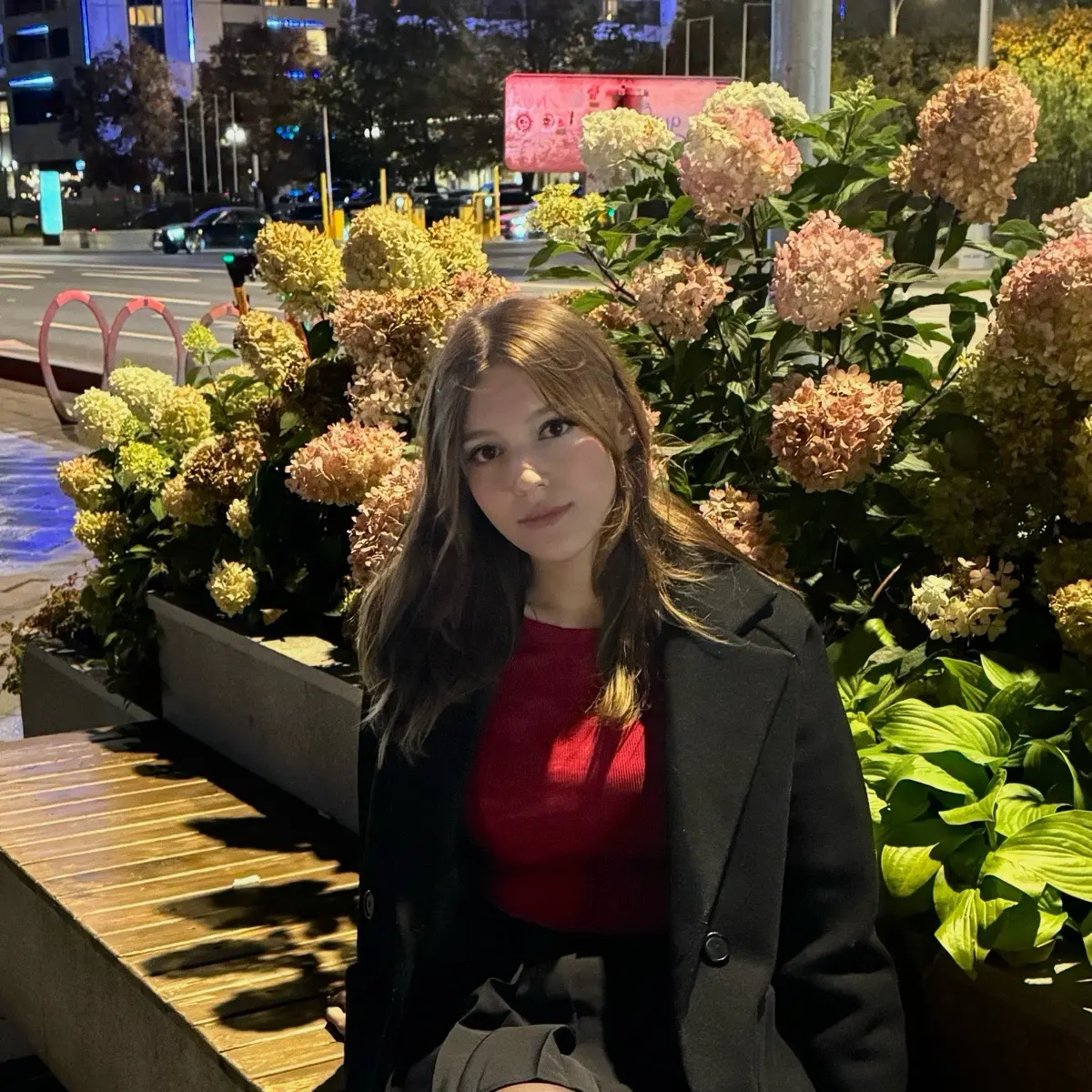 Network member avatar