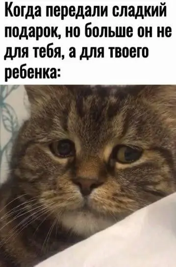 Теперь мы взрослые, поэтому говорим только про лидерство.
Сегодня в гостях Андрей Шапенко, профессор бизнес-практики школы управления Сколково | Сетка — социальная сеть от hh.ru