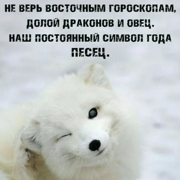 Астрология вне времени 😂
#Юмор@poldner | Сетка — социальная сеть от hh.ru