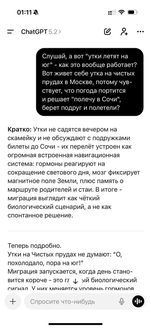 Также на что именно я трачу лучшие вычислительные мощности человечества мои запросы к chatGPT 😂😂😂 | Сетка — социальная сеть от hh.ru