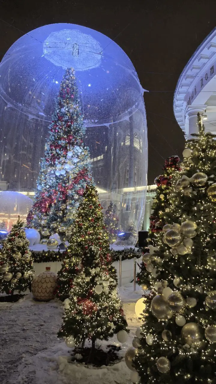 Новогодней красоты в ленту! 🎄✨ Пусть ваши дни будут наполнены волшебством и радостью | Сетка — социальная сеть от hh.ru