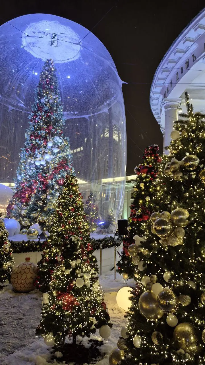 Новогодней красоты в ленту! 🎄✨ Пусть ваши дни будут наполнены волшебством и радостью | Сетка — социальная сеть от hh.ru