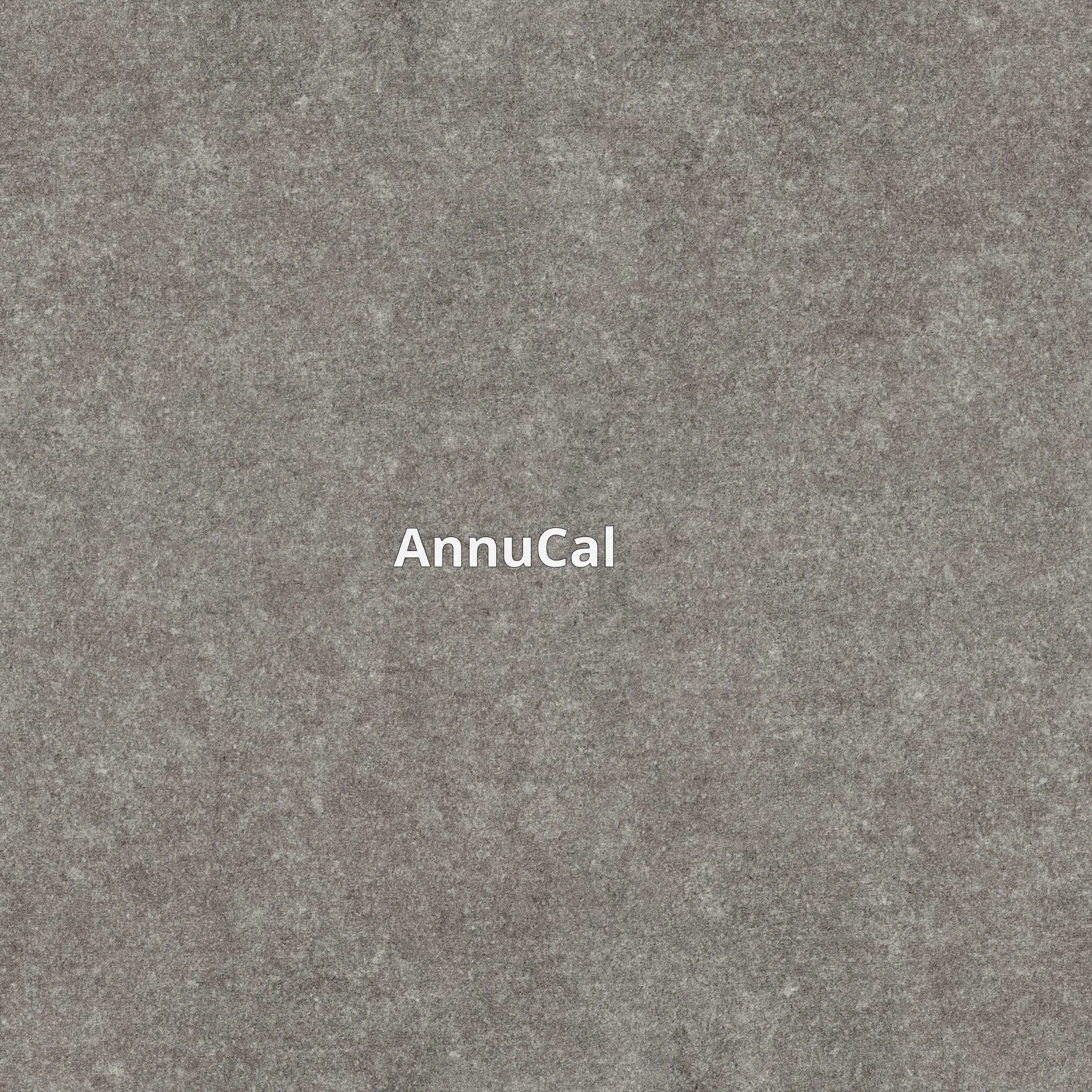 AnnuCal - ваш цифровой планировщик на год вперед! Этот инструмент предлагает удобный 12-месячный обзор, где хранится вся информация о ваших событиях, праздниках и выходных | Сетка — социальная сеть от hh.ru