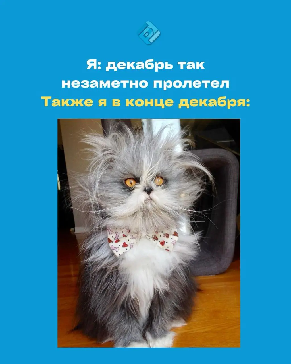 Декабрь почти пережили! 👀
Еще немного и по плану — отдых, новогодние салаты и никакой работы до 9 января!
✉️ Подписывайтесь на БухNews
В этом посте были ссылки, но мы их удалили по правилам Сетки | Сетка — социальная сеть от hh.ru