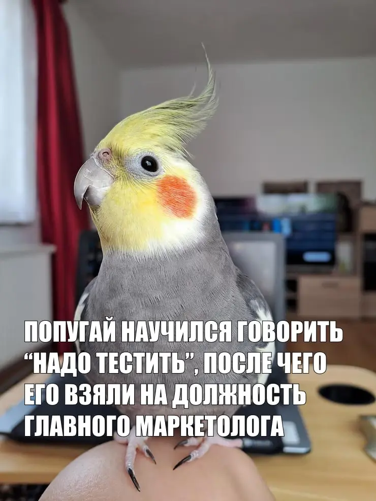 Просто оставлю это здесь 😁
Суббота, #мемсы , все дела | Сетка — социальная сеть от hh.ru