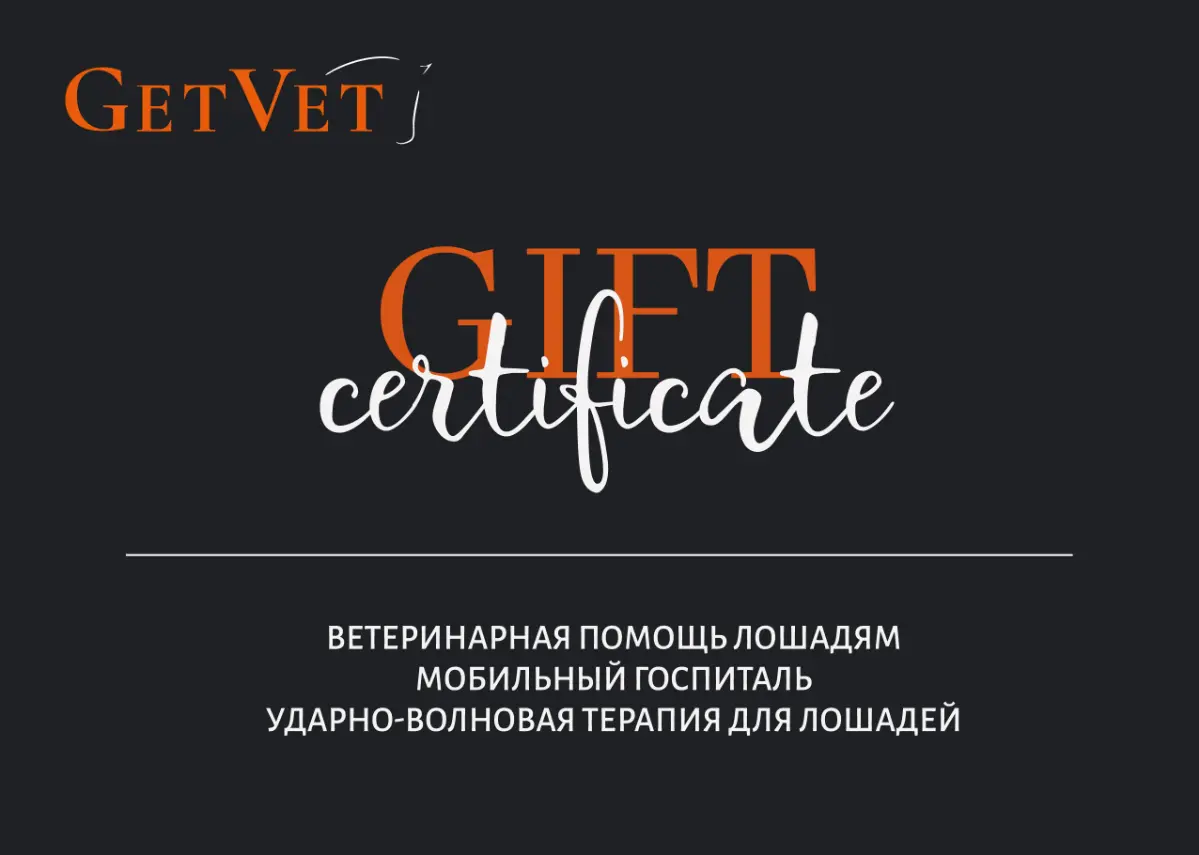Подарочный сертификат 🎁 | Сетка — социальная сеть от hh.ru