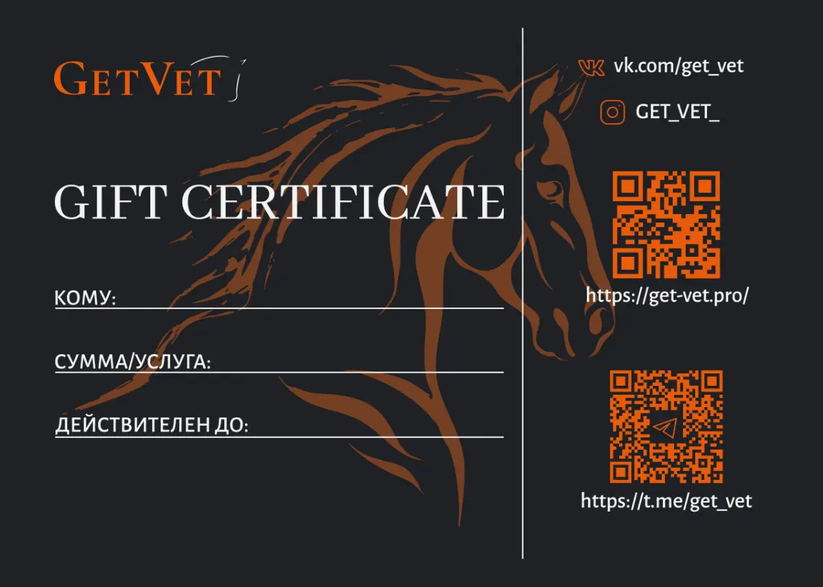 Подарочный сертификат 🎁 | Сетка — социальная сеть от hh.ru