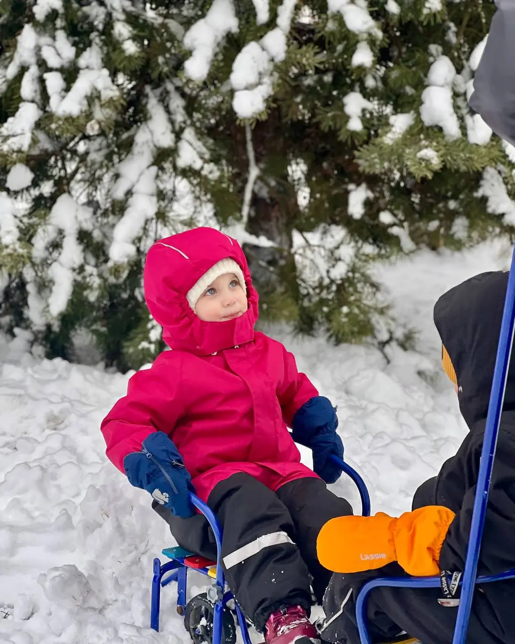 Сегодня мы хорошенько почувствовали зиму ❄️
Приехали на дачу в районе 11 и началось:
• откопать проход и парковочное место
• санки
• снеговик
• ватрушка
• горка
• повесить кормушку для птиц
• нарядить... | Сетка — социальная сеть от hh.ru