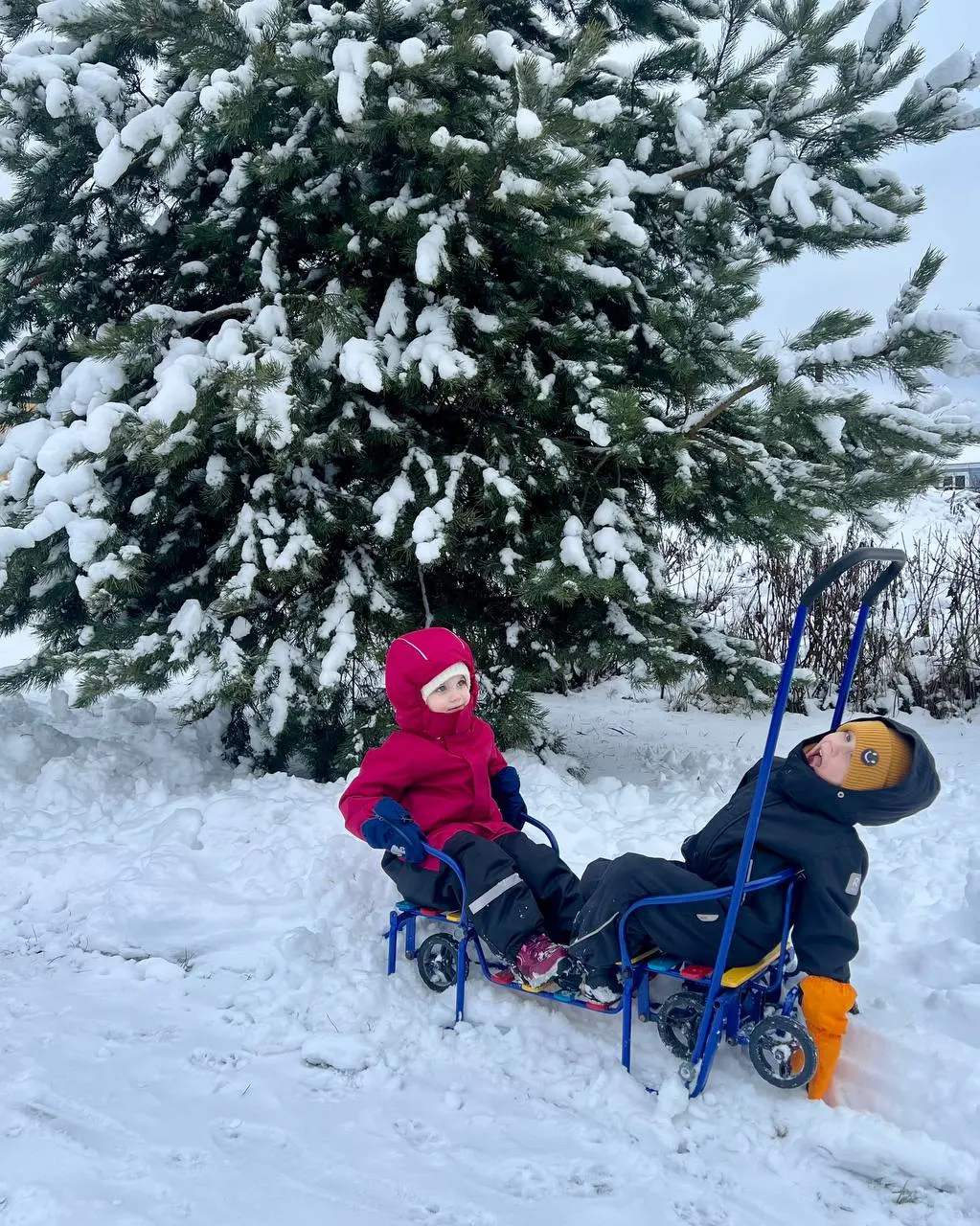 Сегодня мы хорошенько почувствовали зиму ❄️
Приехали на дачу в районе 11 и началось:
• откопать проход и парковочное место
• санки
• снеговик
• ватрушка
• горка
• повесить кормушку для птиц
• нарядить... | Сетка — социальная сеть от hh.ru