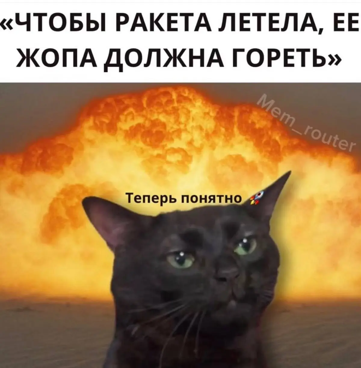 Как двигаться по карьерной лестнице с помощью своей агрессии | Сетка — социальная сеть от hh.ru