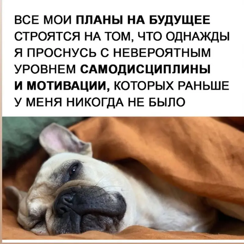 Из чего на самом деле складывается успешный поиск работы в 2026 году
Если честно учитывать рынок, сезонность, конкуренцию и скорость найма, успешный поиск работы - это не везение и не красивое резюме | Сетка — социальная сеть от hh.ru
