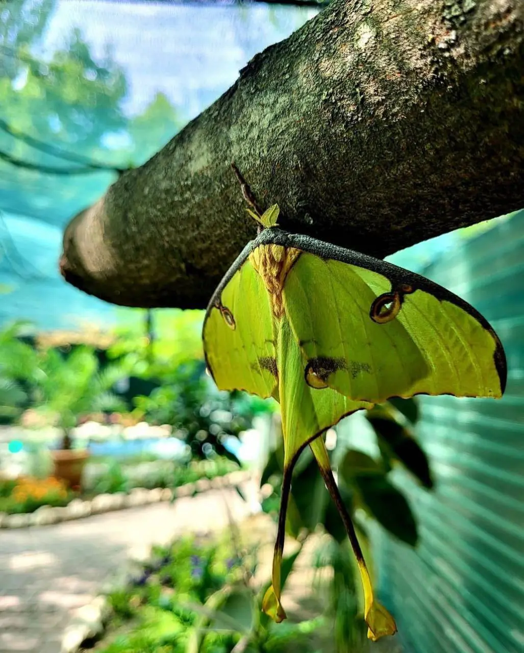 🦋 Администратор / Сотрудница в Парк живых бабочек
📍 Арбат, Москва
Мы открываем уникальный парк с живыми тропическими бабочками и ищем девушек, которые будут создавать атмосферу волшебства для гостей | Сетка — социальная сеть от hh.ru