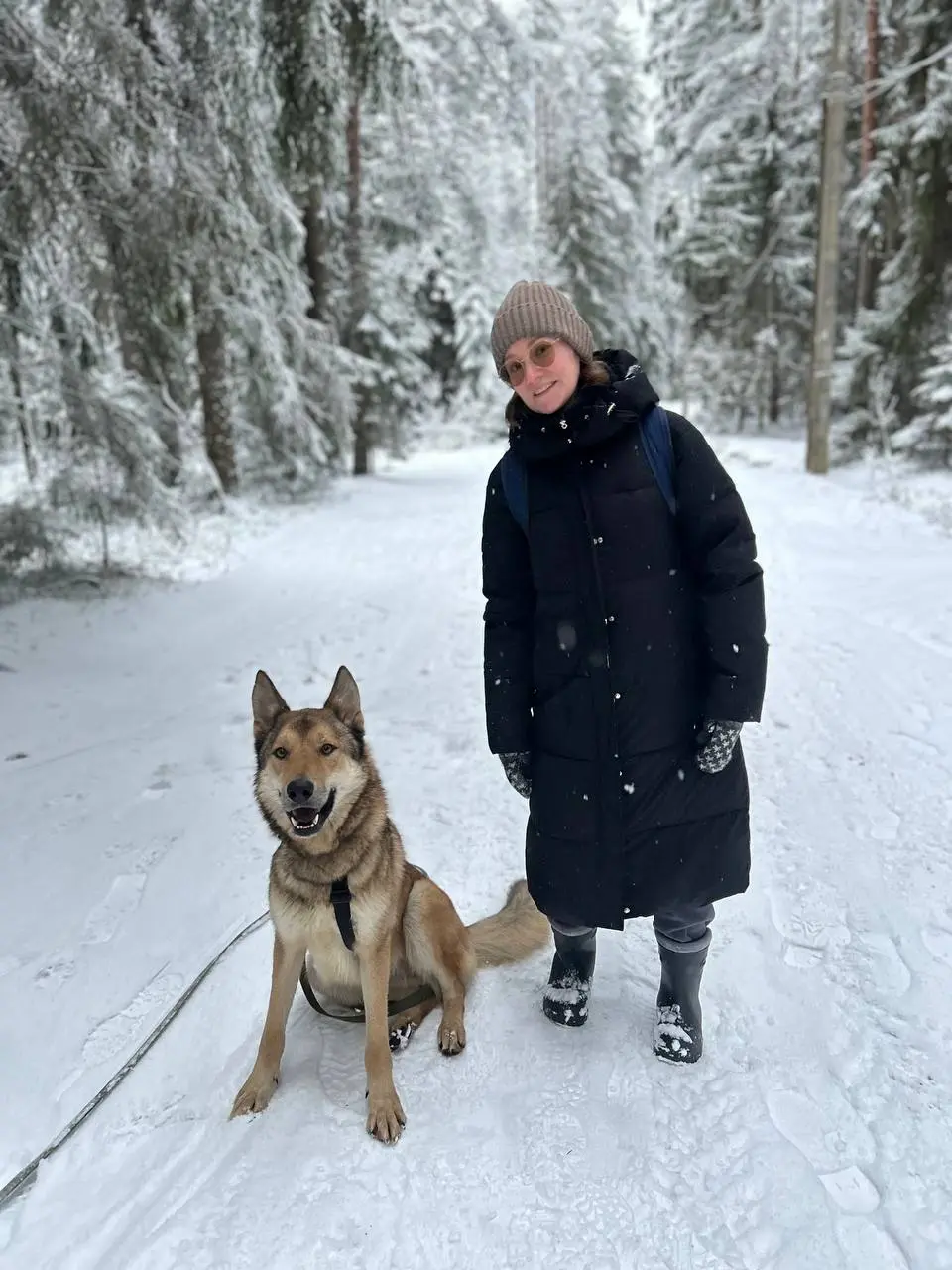 Разбавлю контент кожаный, контентом пушистым 🐻‍❄️
Это Гром, мой драгоценный собакен, который со мной не живет
🌲🌲
Спустя 4 месяца мы наконец-то увиделись и вдоволь нагулялись в лесу❤ | Сетка — социальная сеть от hh.ru
