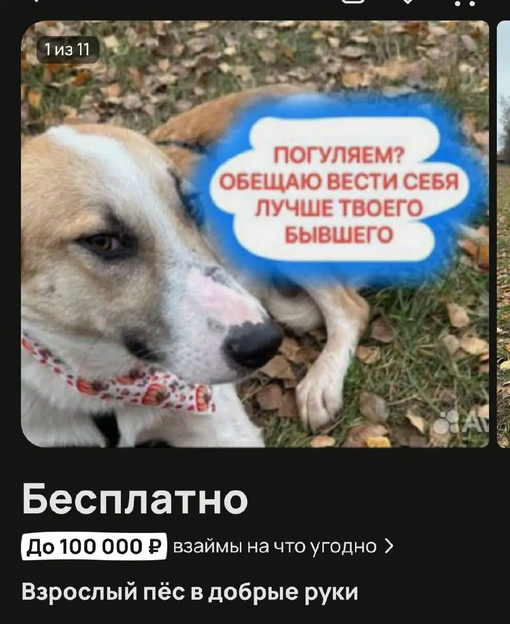 Кокечничает | Сетка — социальная сеть от hh.ru