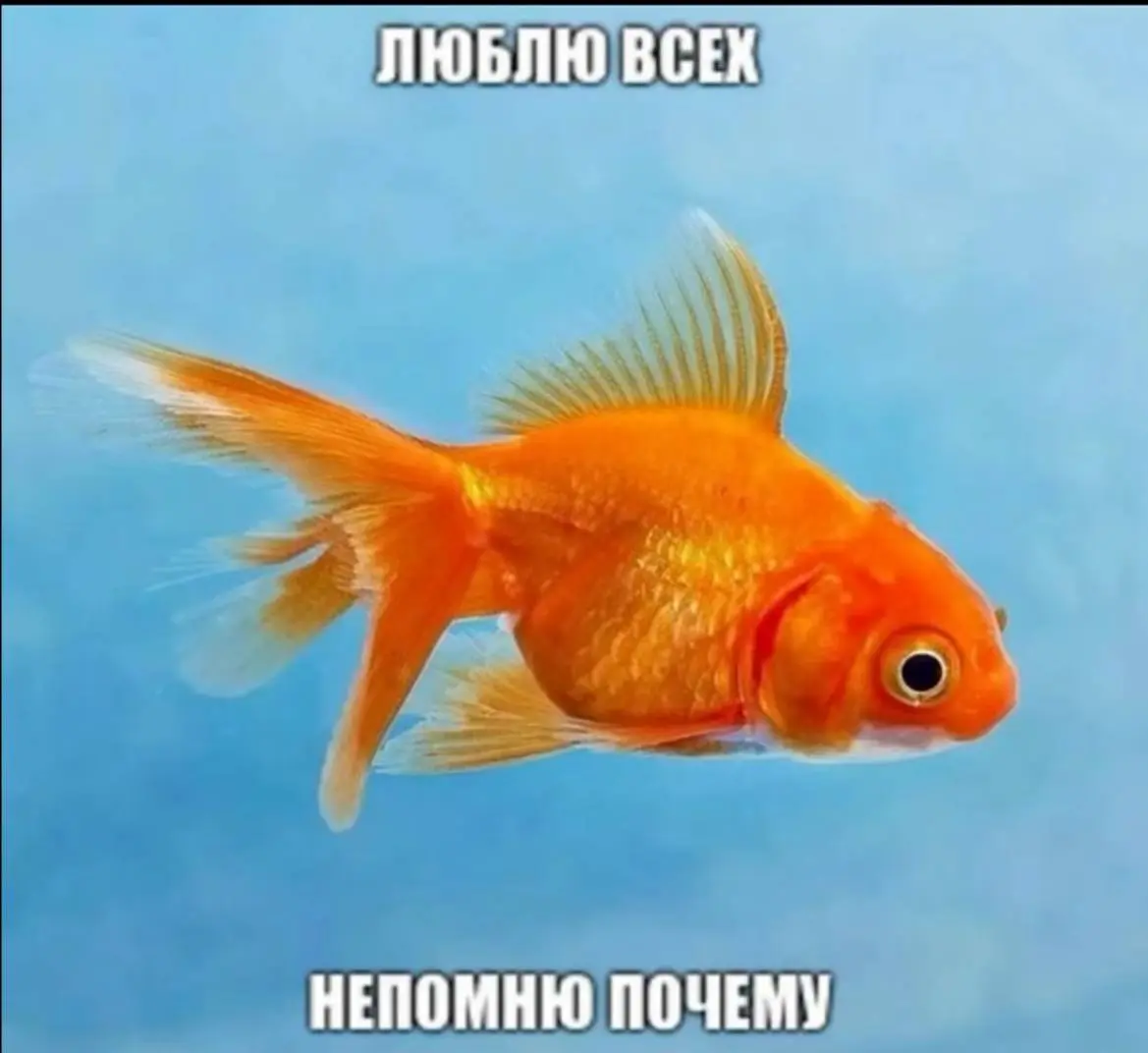 День 118
🔤 занималась йогой
🔤 ходила на группу
🔤 читала | Сетка — социальная сеть от hh.ru
