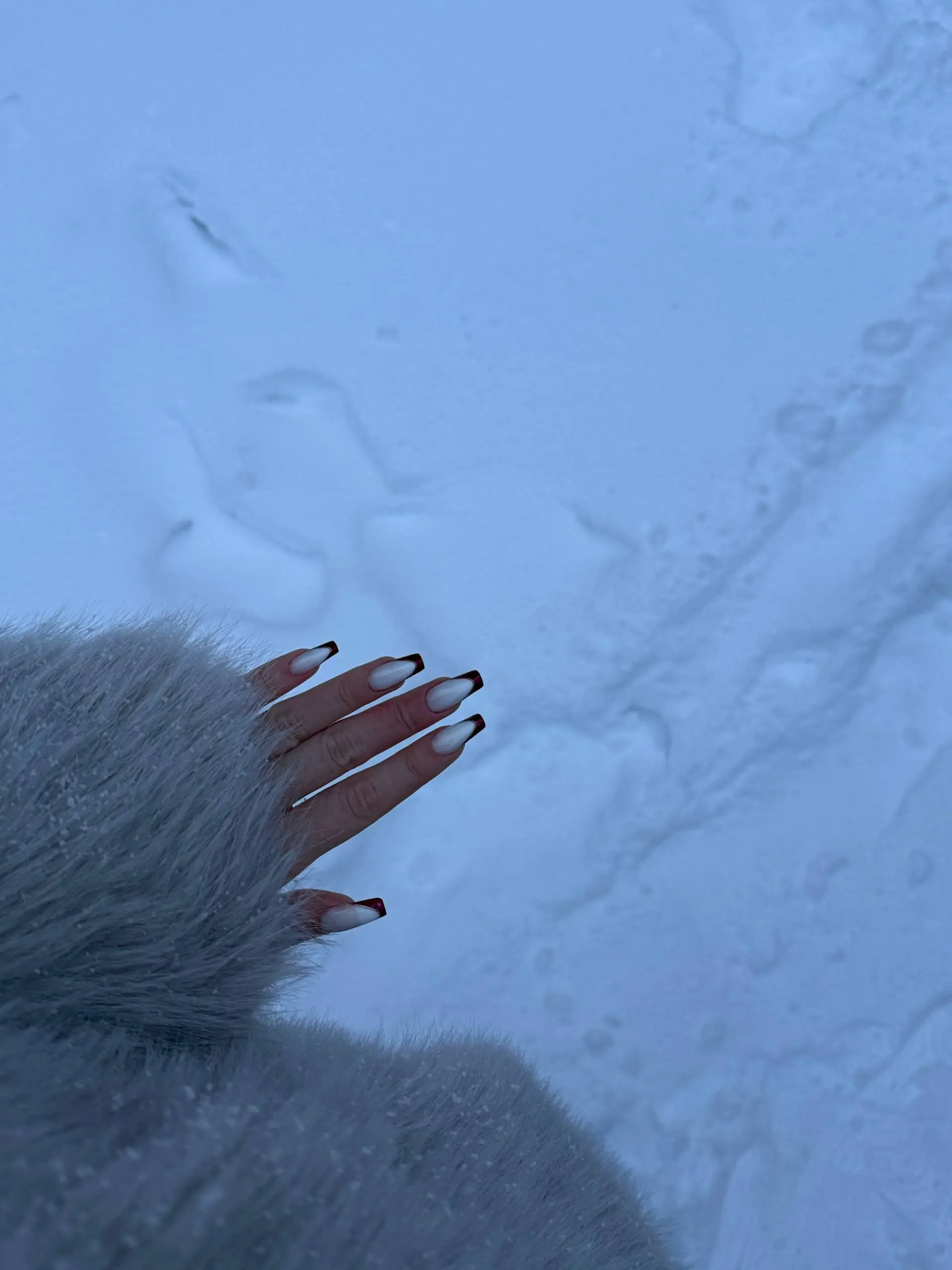 Кристмас вайб?
Очень люблю в этом году облепиху 🥰 | Сетка — социальная сеть от hh.ru