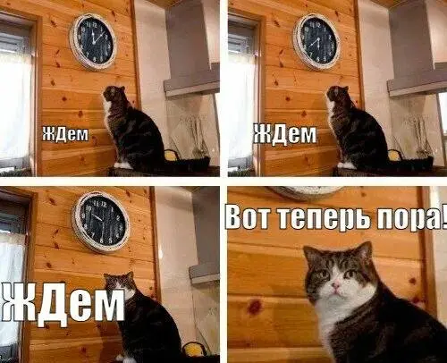 Последние новости от Яндекса по SEO
Наконец-то дождался оценочного ответа по алгоритмам:
"- Избегать переоптимизации и «заваливания» точными вхождениями — Яндекс фильтрует за переспам"
Теперь не нужно... | Сетка — социальная сеть от hh.ru