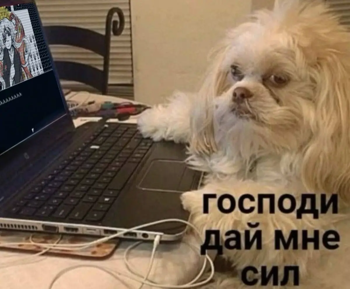 Марафон ep 1: Стратегии трудоустройства и каналы поиска | Сетка — социальная сеть от hh.ru