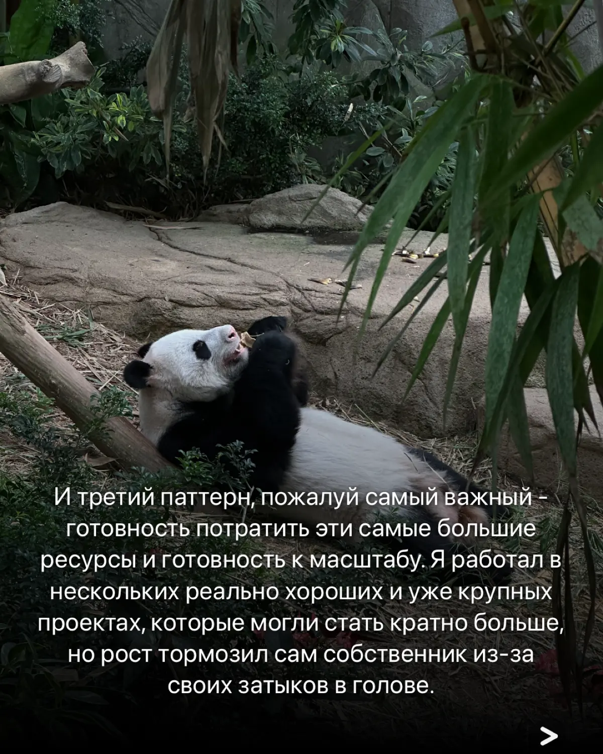 ТОП-3 Фактора успеха компаний | Сетка — социальная сеть от hh.ru