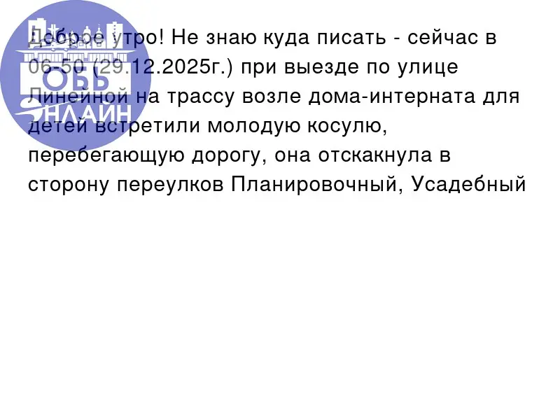 ↗ Доброе утро! Не знаю куда писать - сейчас в 06-50 (29.12.2025г | Сетка — социальная сеть от hh.ru