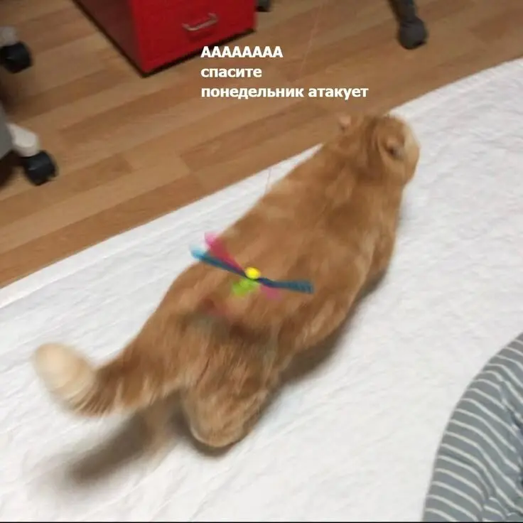 Продуктивной рабочей недели 💅
Мы знаем, что никто уже не работает, но не можем доказать...
П.с. до Нового года осталось 3 дня
#работа #вакансии #hr #GdeRabota | Сетка — социальная сеть от hh.ru