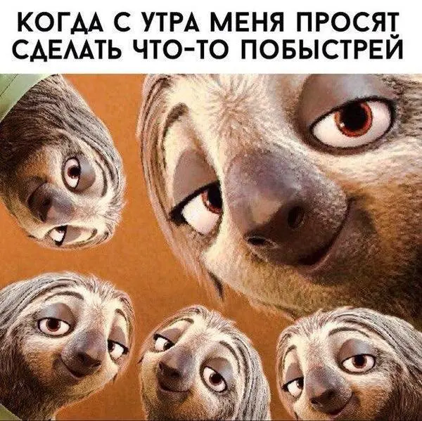 Почему январь - самый важный месяц и как не дать команде | Сетка — социальная сеть от hh.ru