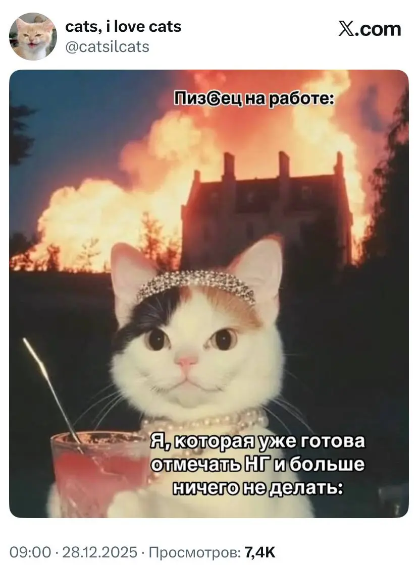#work #cats | Сетка — социальная сеть от hh.ru