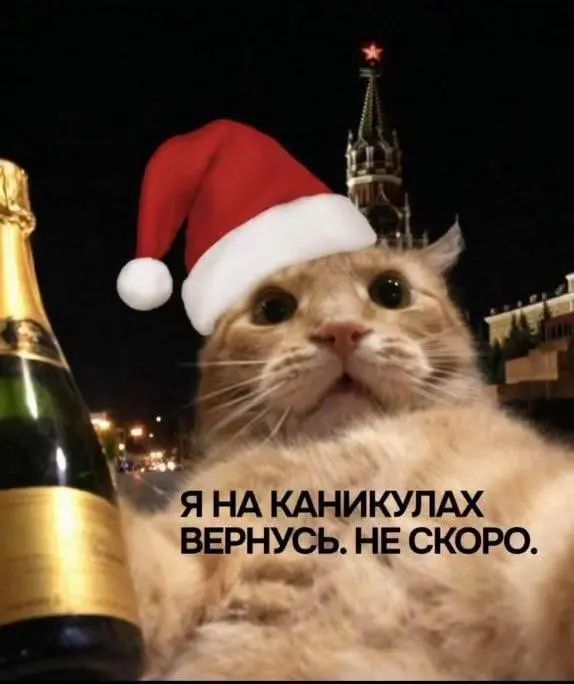Всем доброго понедельника! До праздничных выходных осталось совсем немного времени. Предлагаю подготовиться заранее и выбрать аватарку-заглушку, чтобы коллегам было всё понятно без слов | Сетка — социальная сеть от hh.ru