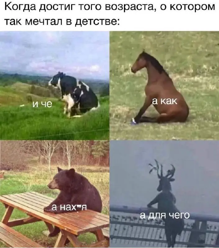 ~
~
~
Еще и Дед Мороза не существует… | Сетка — социальная сеть от hh.ru