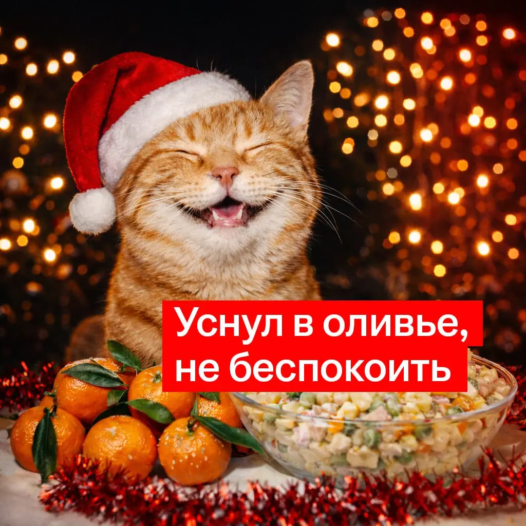 Коллеги, разбираем нарядики! | Сетка — социальная сеть от hh.ru