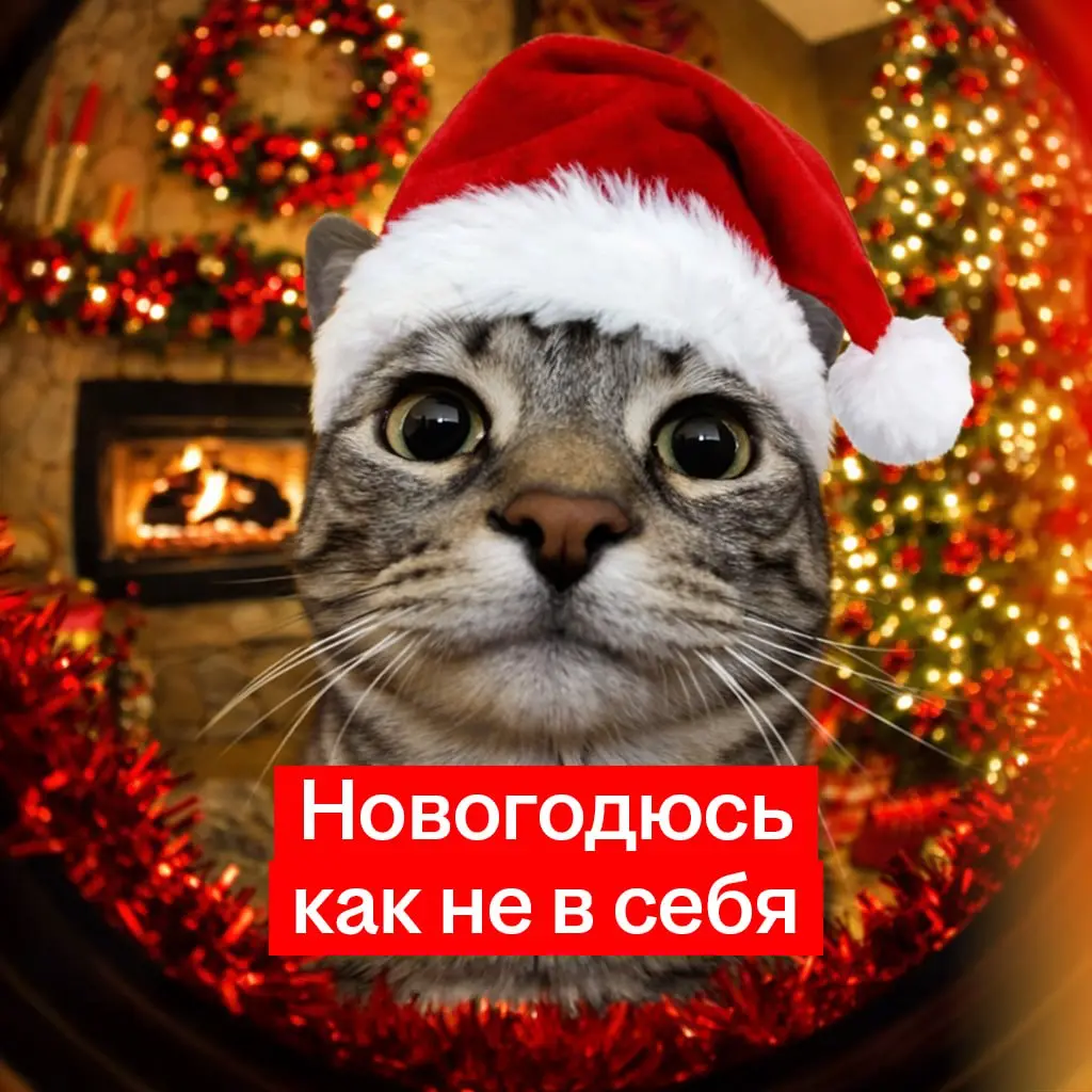 Коллеги, разбираем нарядики! | Сетка — социальная сеть от hh.ru