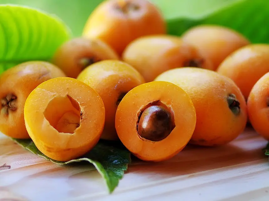 🍊🌿 ОТКРЫВАЕМ СЕКРЕТЫ МУШМУЛЫ! 🌿🍊
Привет всем от MicroGreens from LadyMari! 👋 Сегодня говорим о мушмуле – осеннем даре, полном вкуса и пользы | Сетка — социальная сеть от hh.ru