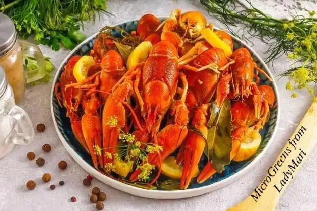🦀 LadyMari делится секретом! | Сетка — социальная сеть от hh.ru