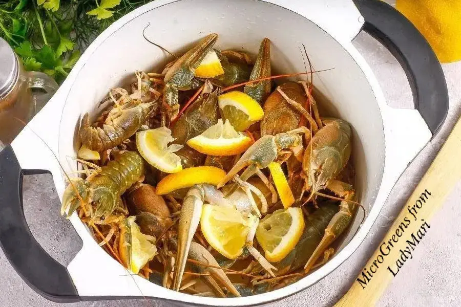 🦀 LadyMari делится секретом! | Сетка — социальная сеть от hh.ru