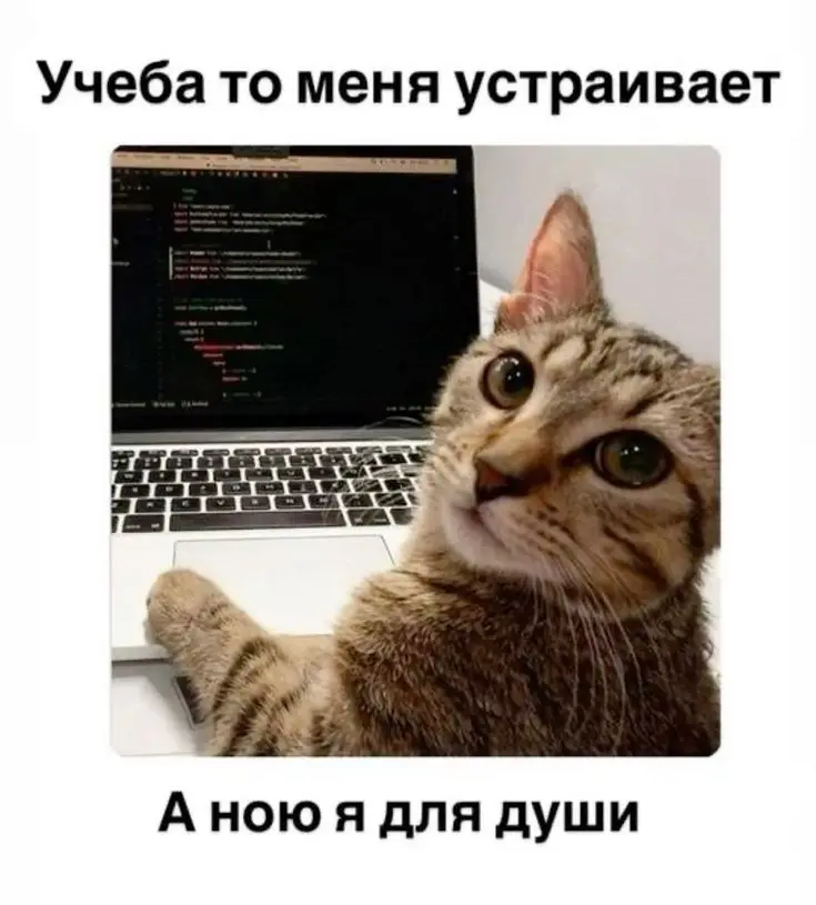 Личные итоги подведены 2025, остались рабочие. | Сетка — социальная сеть от hh.ru