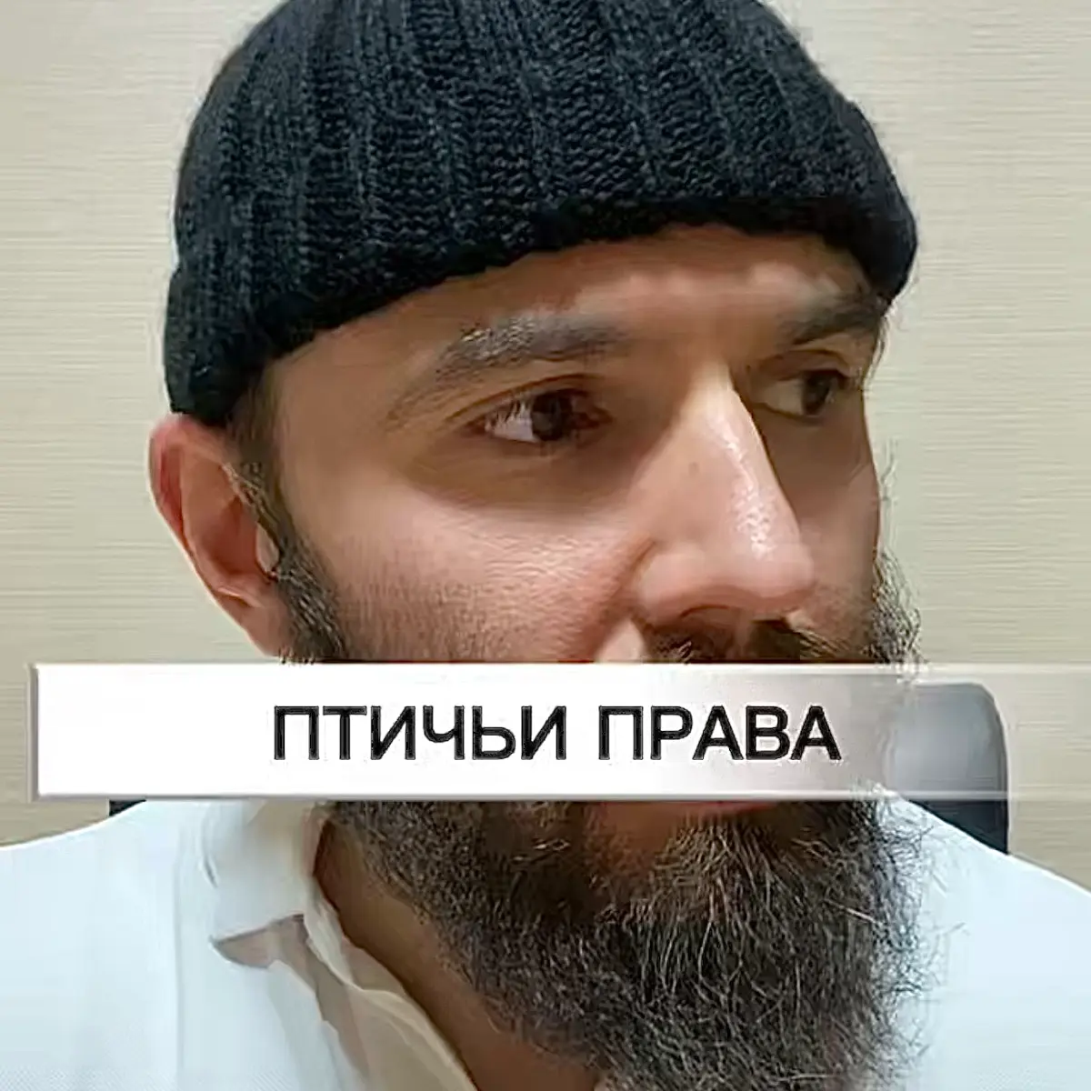 Как может выглядеть троянский конь в отношениях. Скоро в логово. | Сетка — социальная сеть от hh.ru